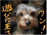 手書きを加えたカットキャプチャ